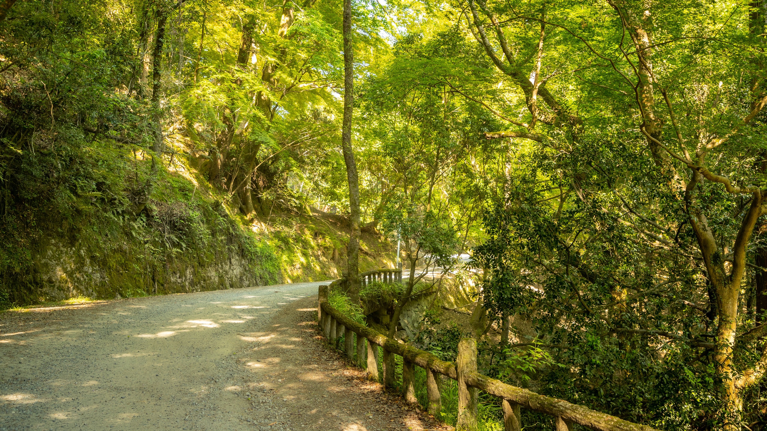 https://mdw-travel-data-us-east-1.s3.amazonaws.com/img/country/Japan/Kasugayama-Primeval-Forest/img_00.jpg