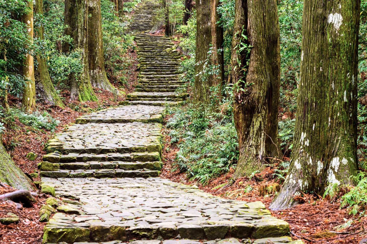https://mdw-travel-data-us-east-1.s3.amazonaws.com/img/country/Japan/Kumano-Kodo/img_01.jpg