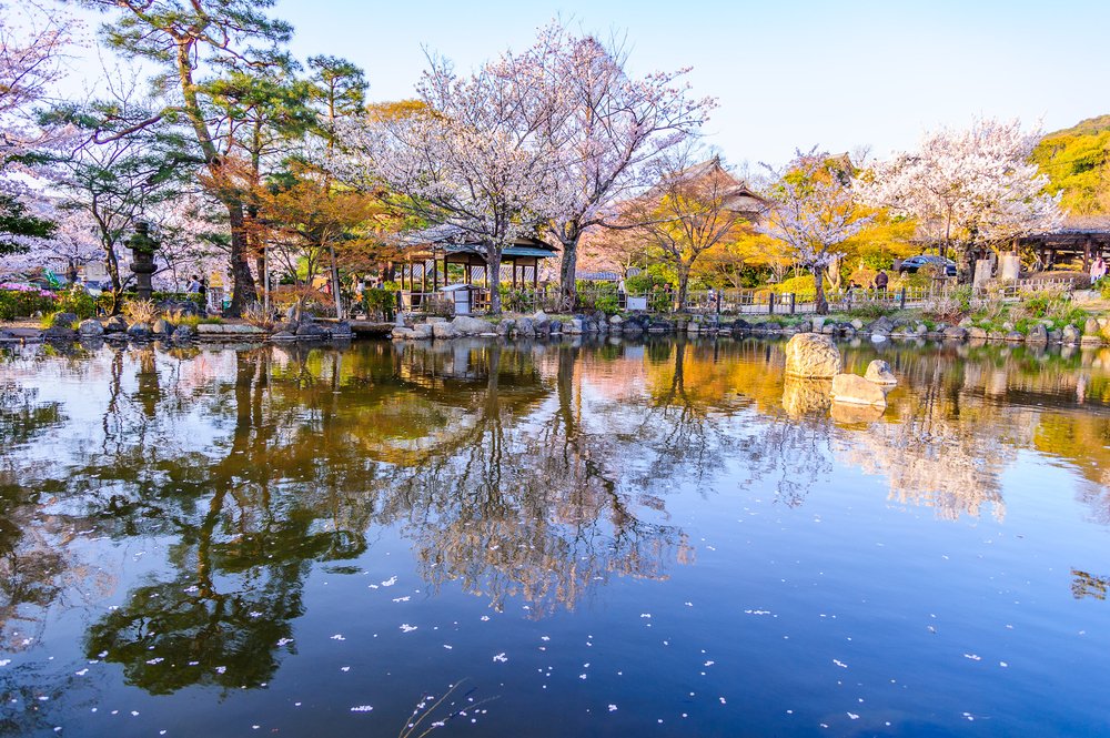 https://mdw-travel-data-us-east-1.s3.amazonaws.com/img/country/Japan/Maruyama-Park/img_00.jpg