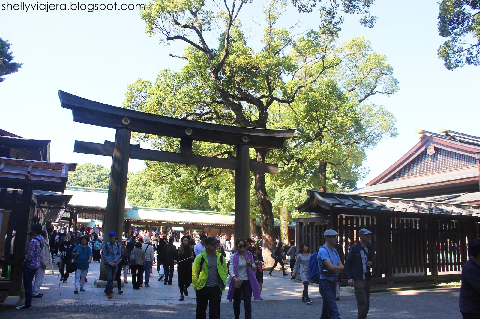 https://mdw-travel-data-us-east-1.s3.amazonaws.com/img/country/Japan/Meiji-Shrine/img_03.jpg
