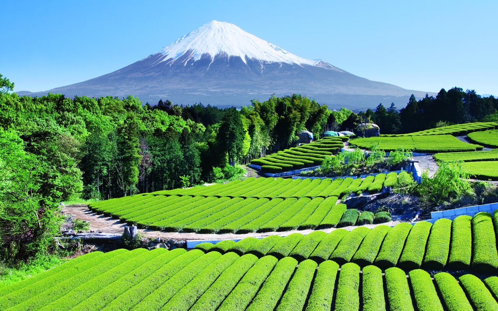 https://mdw-travel-data-us-east-1.s3.amazonaws.com/img/country/Japan/Mount-Fuji/img_03.jpg