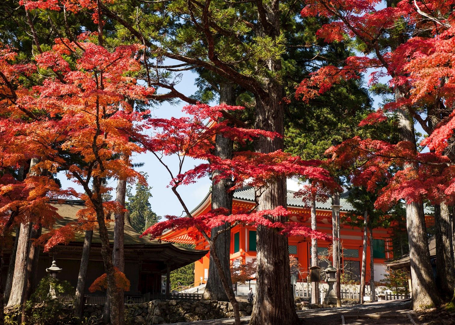 https://mdw-travel-data-us-east-1.s3.amazonaws.com/img/country/Japan/Mount-Koya/img_02.jpg