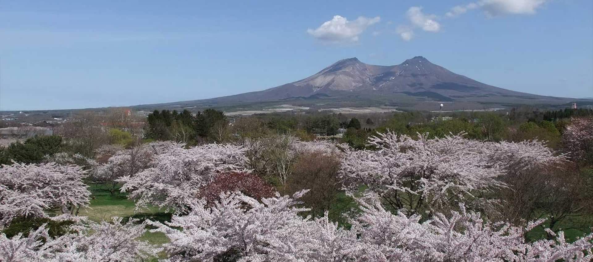https://mdw-travel-data-us-east-1.s3.amazonaws.com/img/country/Japan/Mt-Komagatake/img_03.jpg