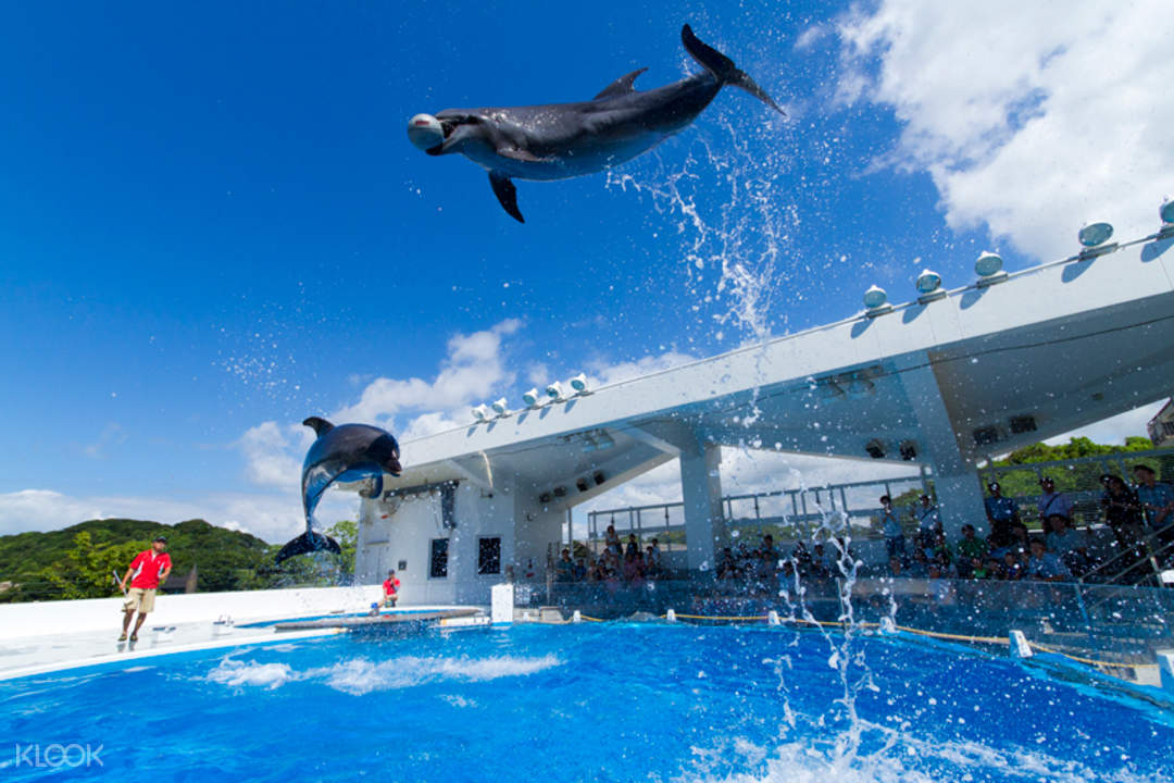 https://mdw-travel-data-us-east-1.s3.amazonaws.com/img/country/Japan/Nagasaki-Penguin-Aquarium/img_01.jpg
