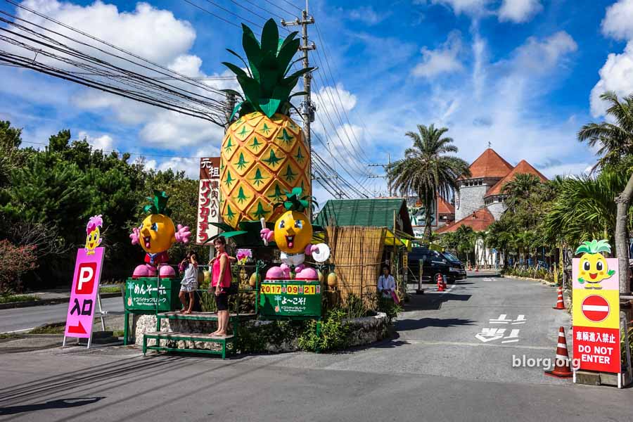 https://mdw-travel-data-us-east-1.s3.amazonaws.com/img/country/Japan/Nago-Pineapple-Park/img_02.jpg