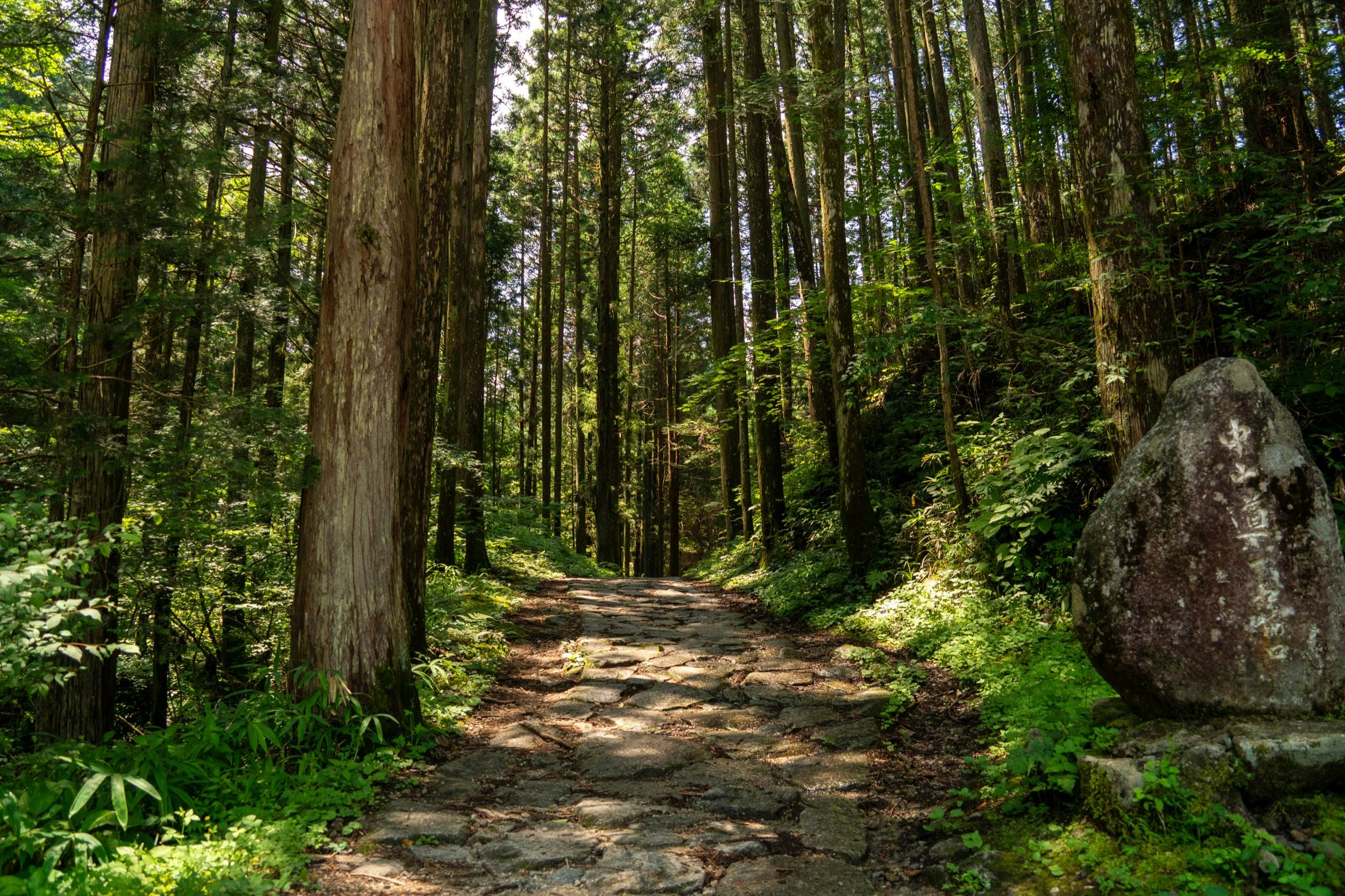 https://mdw-travel-data-us-east-1.s3.amazonaws.com/img/country/Japan/Nakasendo-Trail/img_01.jpg