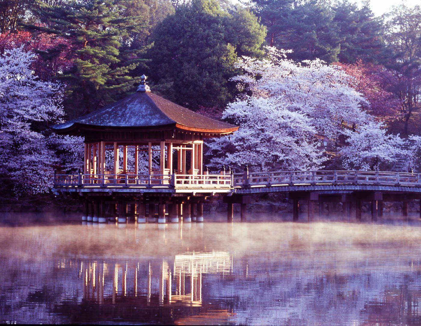https://mdw-travel-data-us-east-1.s3.amazonaws.com/img/country/Japan/Nara-City-Museum-of-Photography/img_03.jpg
