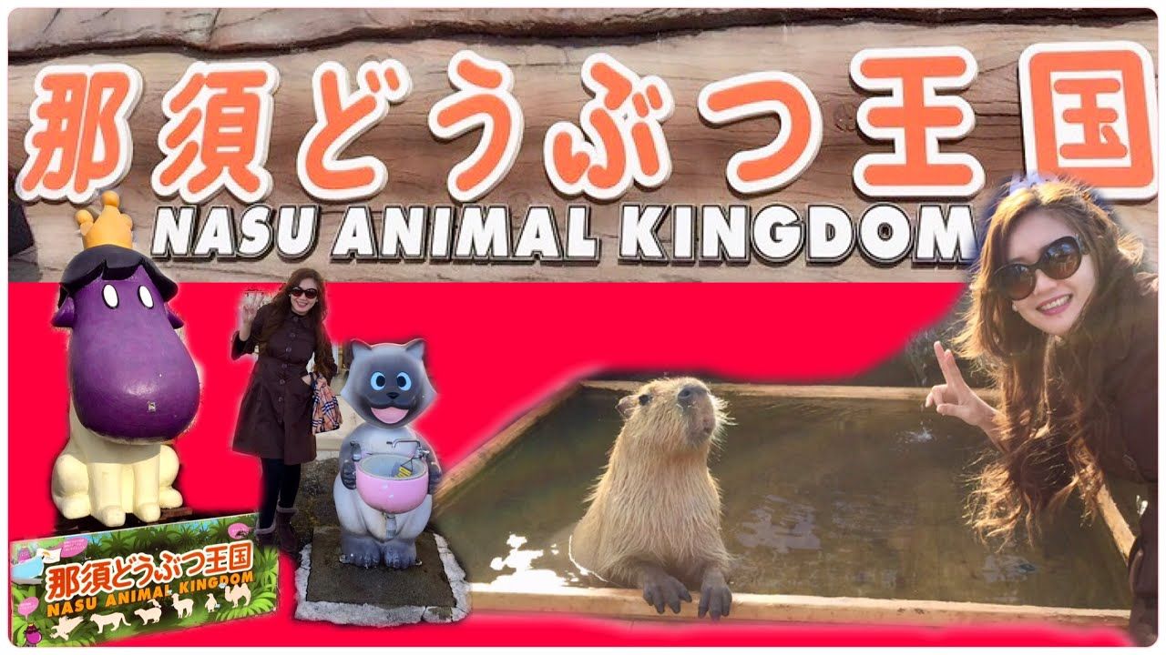 https://mdw-travel-data-us-east-1.s3.amazonaws.com/img/country/Japan/Nasu-Animal-Kingdom/img_01.jpg