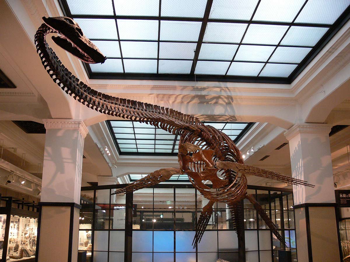 https://mdw-travel-data-us-east-1.s3.amazonaws.com/img/country/Japan/National-Museum-of-Nature-and-Science/img_02.jpg