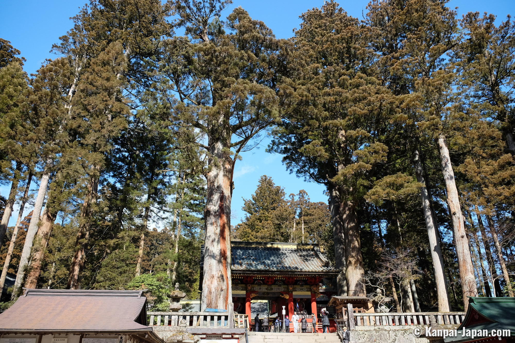 https://mdw-travel-data-us-east-1.s3.amazonaws.com/img/country/Japan/Nikko-Futarasan-Jinja/img_01.jpg