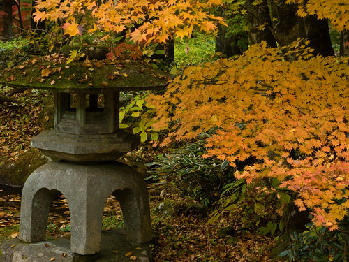 https://mdw-travel-data-us-east-1.s3.amazonaws.com/img/country/Japan/Nikko-Tamozawa-Imperial-Villa-Memorial-Park/img_03.jpg