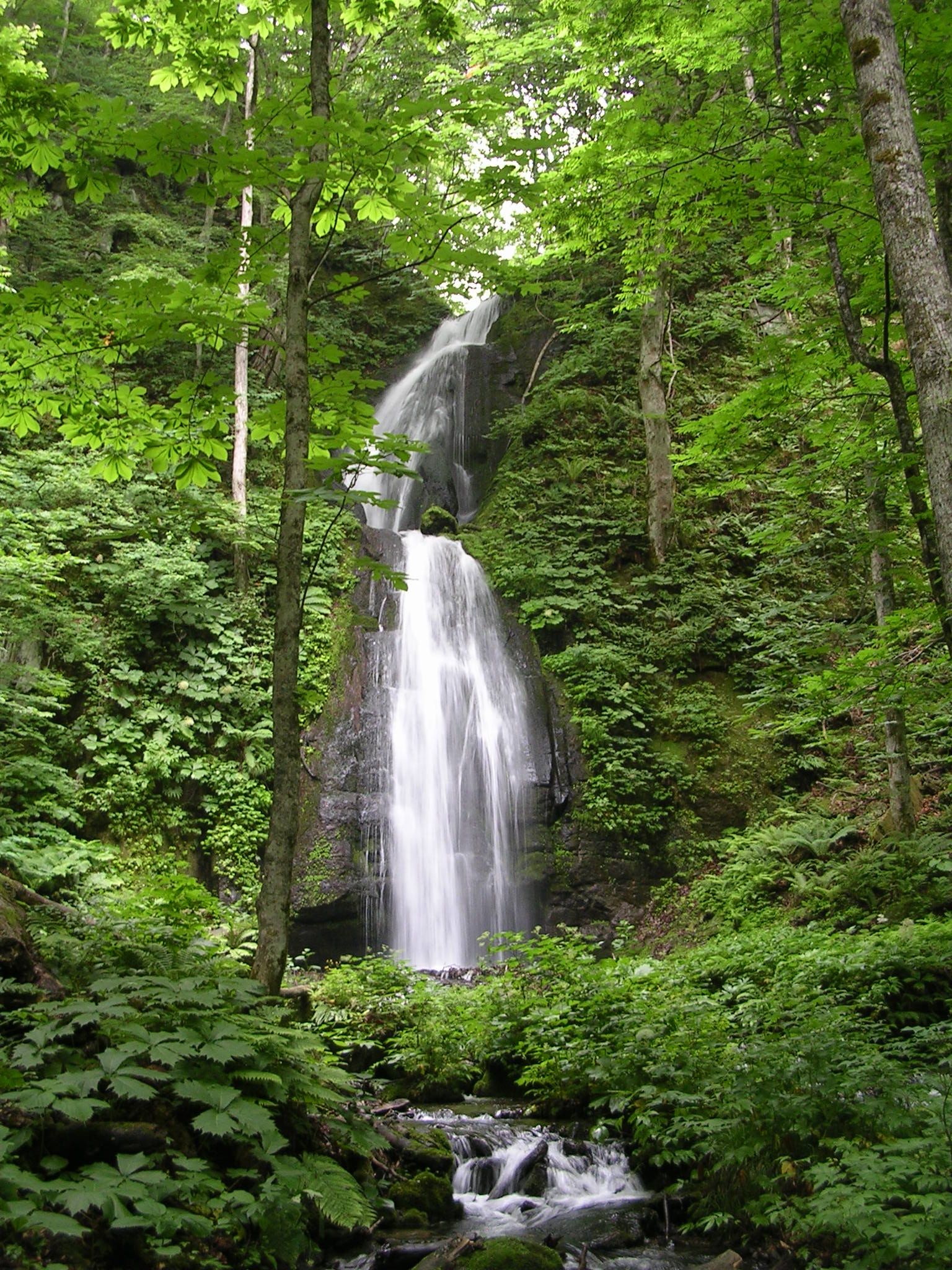 https://mdw-travel-data-us-east-1.s3.amazonaws.com/img/country/Japan/Oirase-Gorge/img_01.jpg