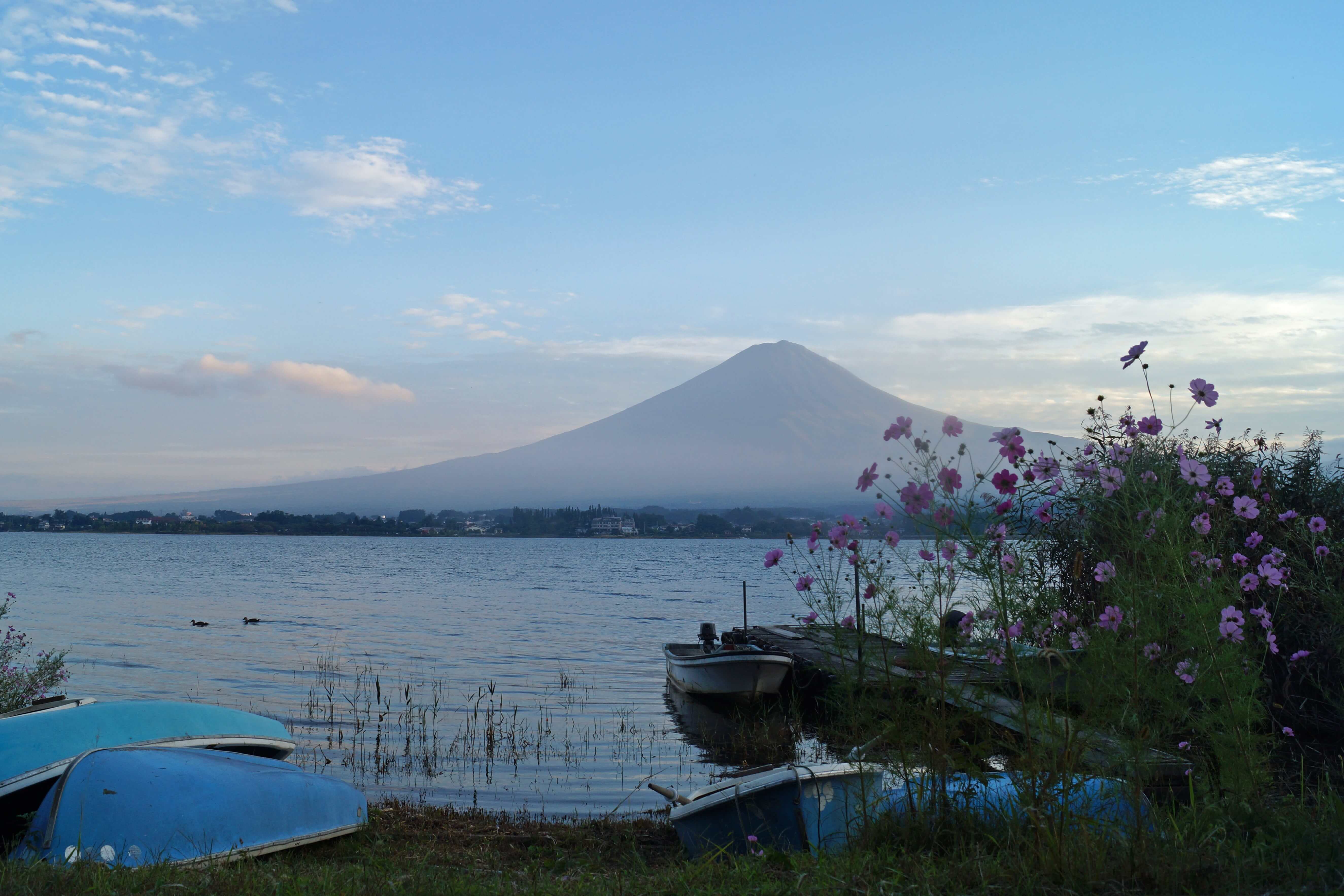 https://mdw-travel-data-us-east-1.s3.amazonaws.com/img/country/Japan/Oishi-Park/img_01.jpg