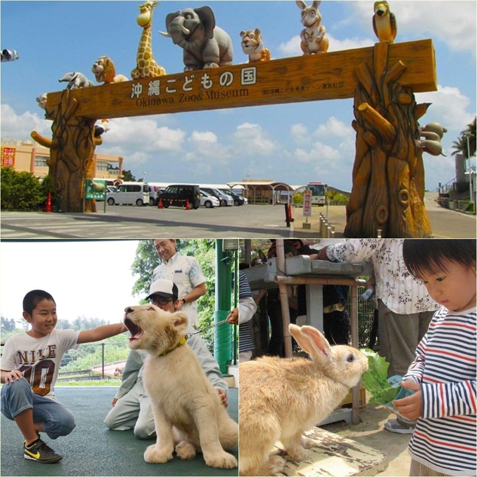 https://mdw-travel-data-us-east-1.s3.amazonaws.com/img/country/Japan/Okinawa-City-Zoo-&-Museum/img_02.jpg