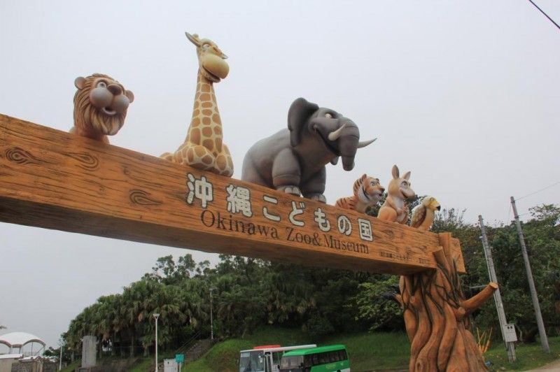 https://mdw-travel-data-us-east-1.s3.amazonaws.com/img/country/Japan/Okinawa-City-Zoo-and-Museum/img_03.jpg