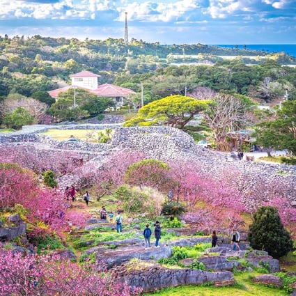https://mdw-travel-data-us-east-1.s3.amazonaws.com/img/country/Japan/Okinawa-World-Bunkaen/img_01.jpg