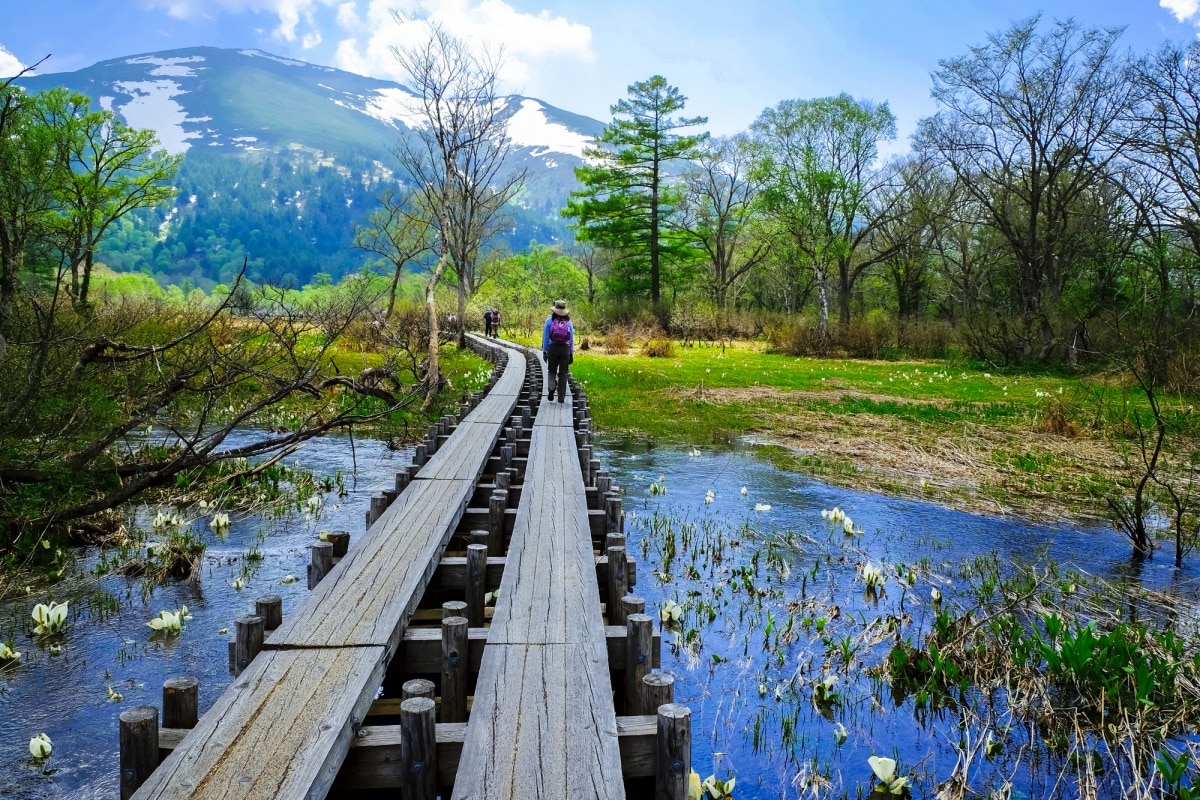 https://mdw-travel-data-us-east-1.s3.amazonaws.com/img/country/Japan/Oze-National-Park/img_01.jpg