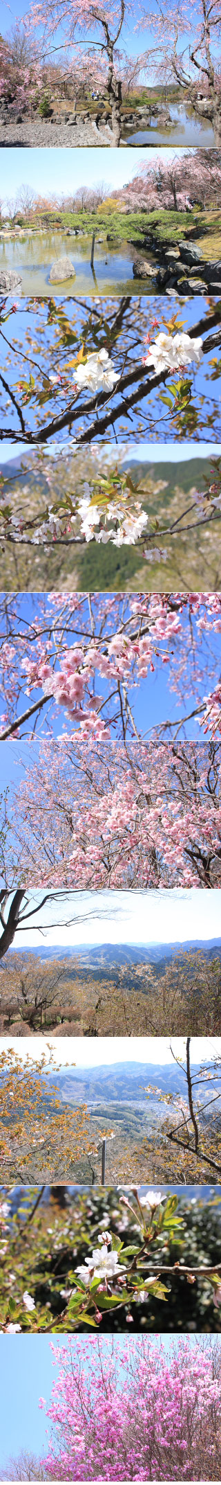 https://mdw-travel-data-us-east-1.s3.amazonaws.com/img/country/Japan/Sakurayama-Nikko-Kan/img_03.jpg