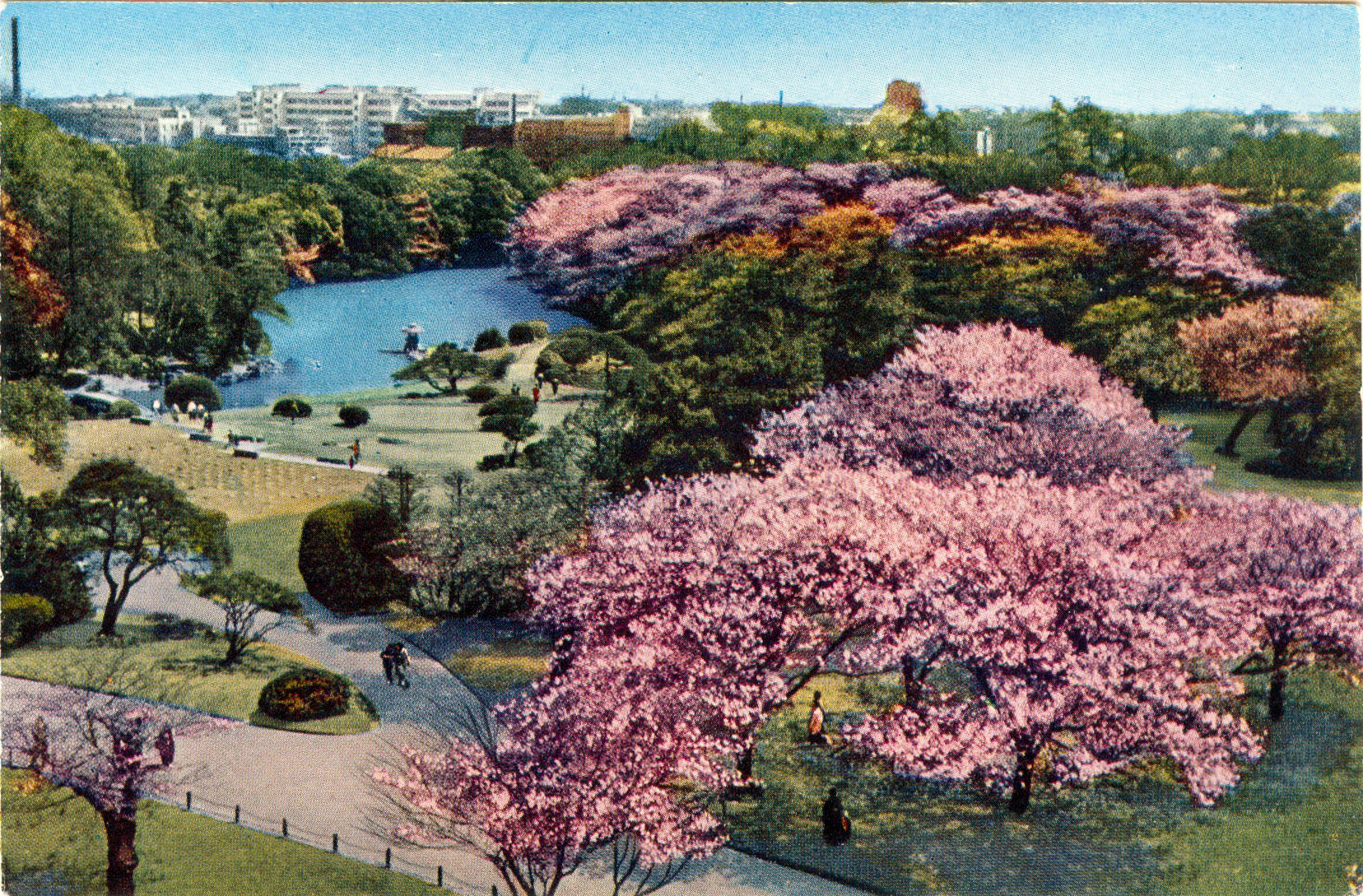 https://mdw-travel-data-us-east-1.s3.amazonaws.com/img/country/Japan/Shinjuku-Gyoen-National-Garden/img_01.jpg