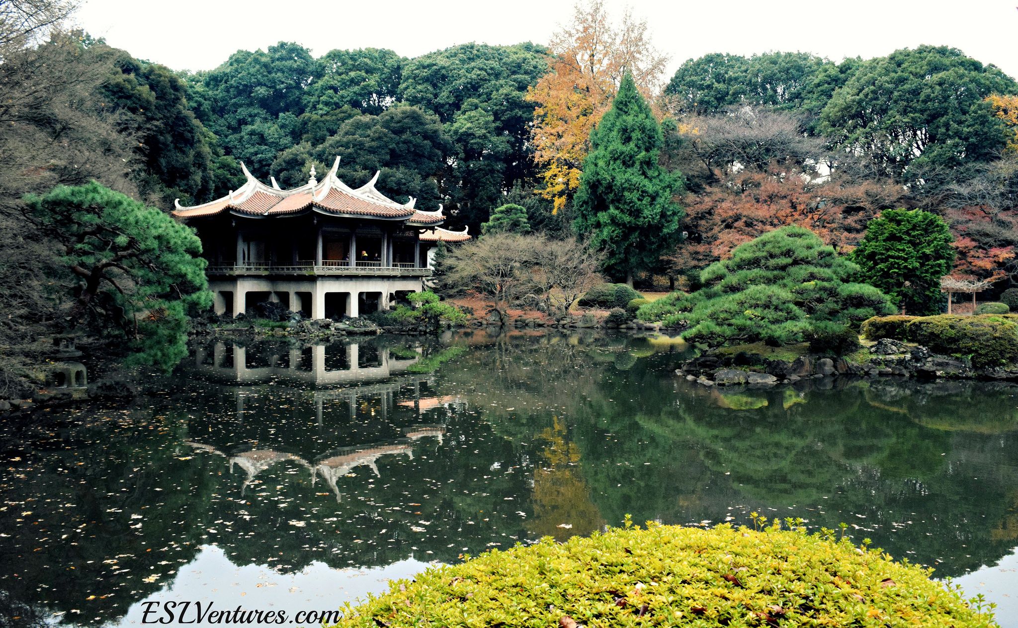 https://mdw-travel-data-us-east-1.s3.amazonaws.com/img/country/Japan/Shinjuku-Gyoen-National-Garden/img_02.jpg