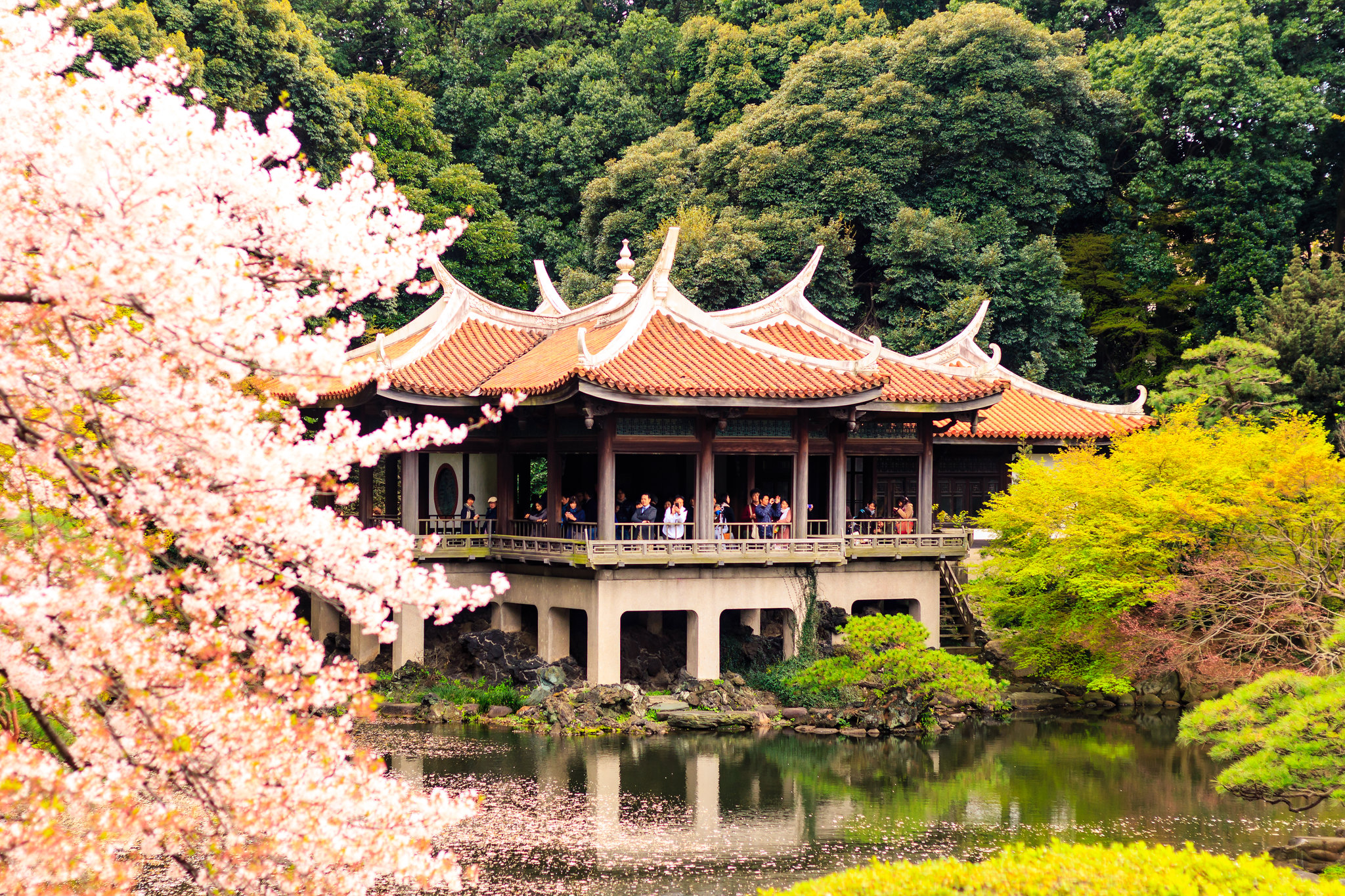 https://mdw-travel-data-us-east-1.s3.amazonaws.com/img/country/Japan/Shinjuku/img_01.jpg