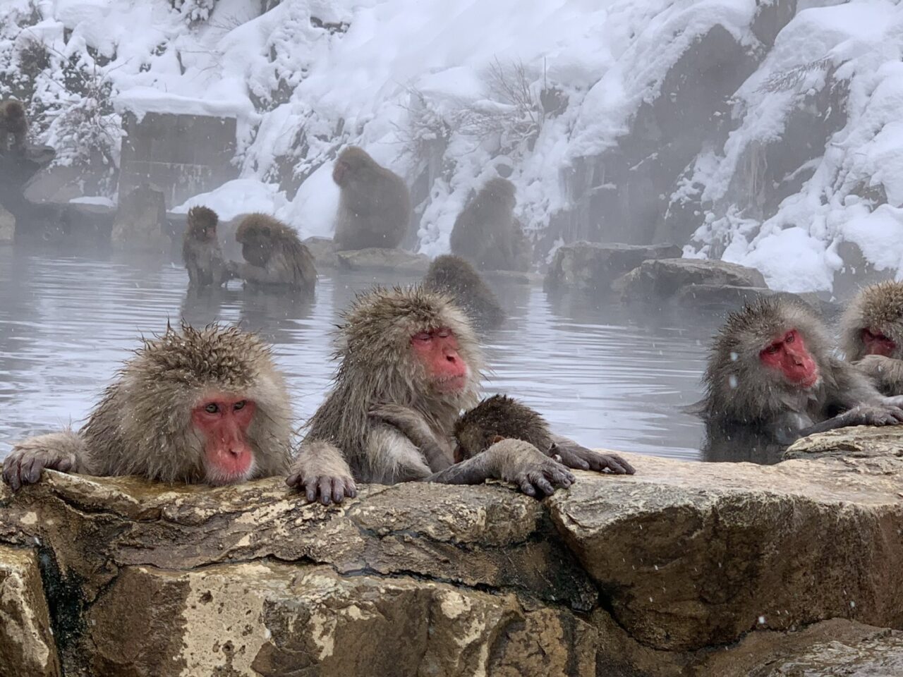 https://mdw-travel-data-us-east-1.s3.amazonaws.com/img/country/Japan/Snow-Monkey-Resorts/img_00.jpg