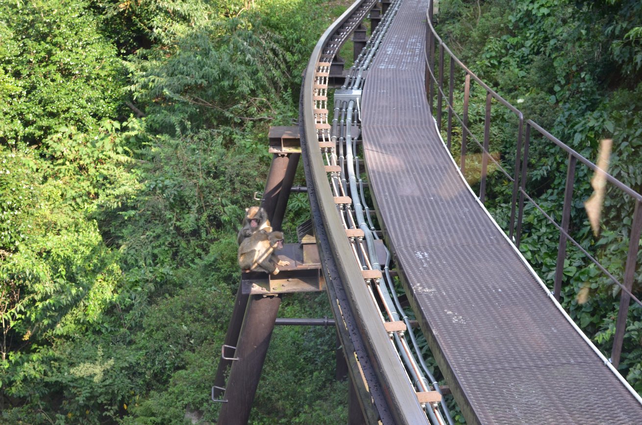 https://mdw-travel-data-us-east-1.s3.amazonaws.com/img/country/Japan/Takasakiyama-Natural-Zoological-Garden/img_01.jpg
