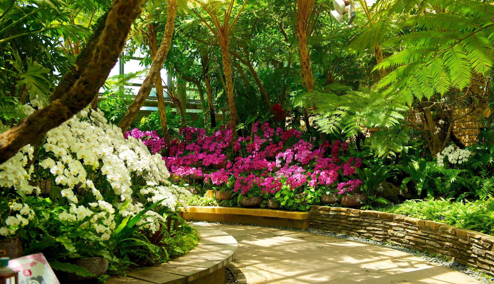 https://mdw-travel-data-us-east-1.s3.amazonaws.com/img/country/Japan/Tropical-Dream-Center/img_00.jpg