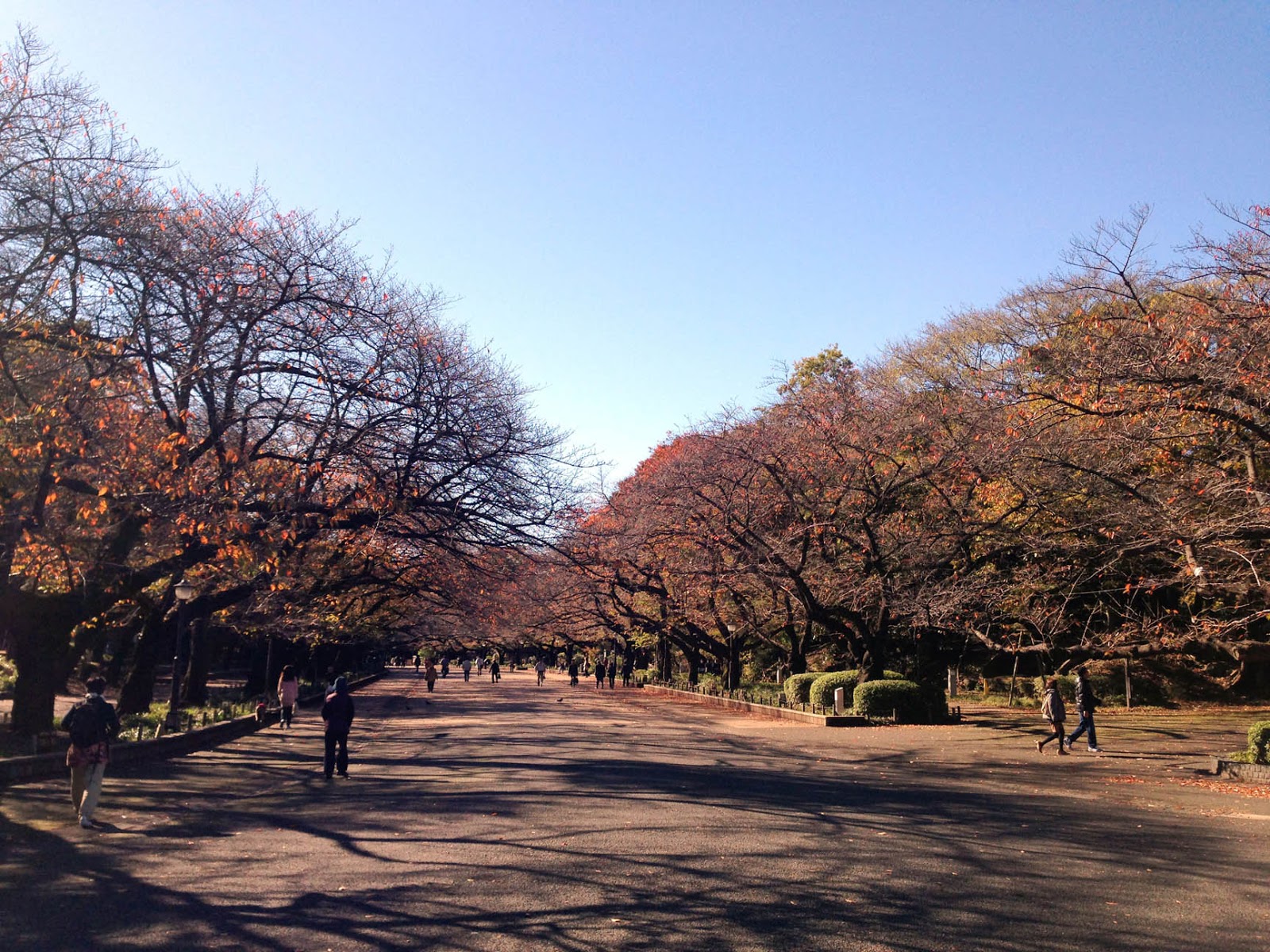 https://mdw-travel-data-us-east-1.s3.amazonaws.com/img/country/Japan/Ueno-Park/img_02.jpg