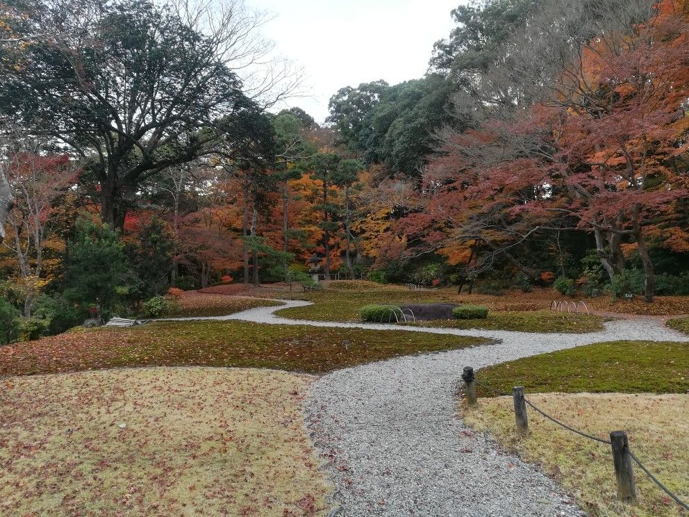 https://mdw-travel-data-us-east-1.s3.amazonaws.com/img/country/Japan/Yoshikien-Garden/img_02.jpg