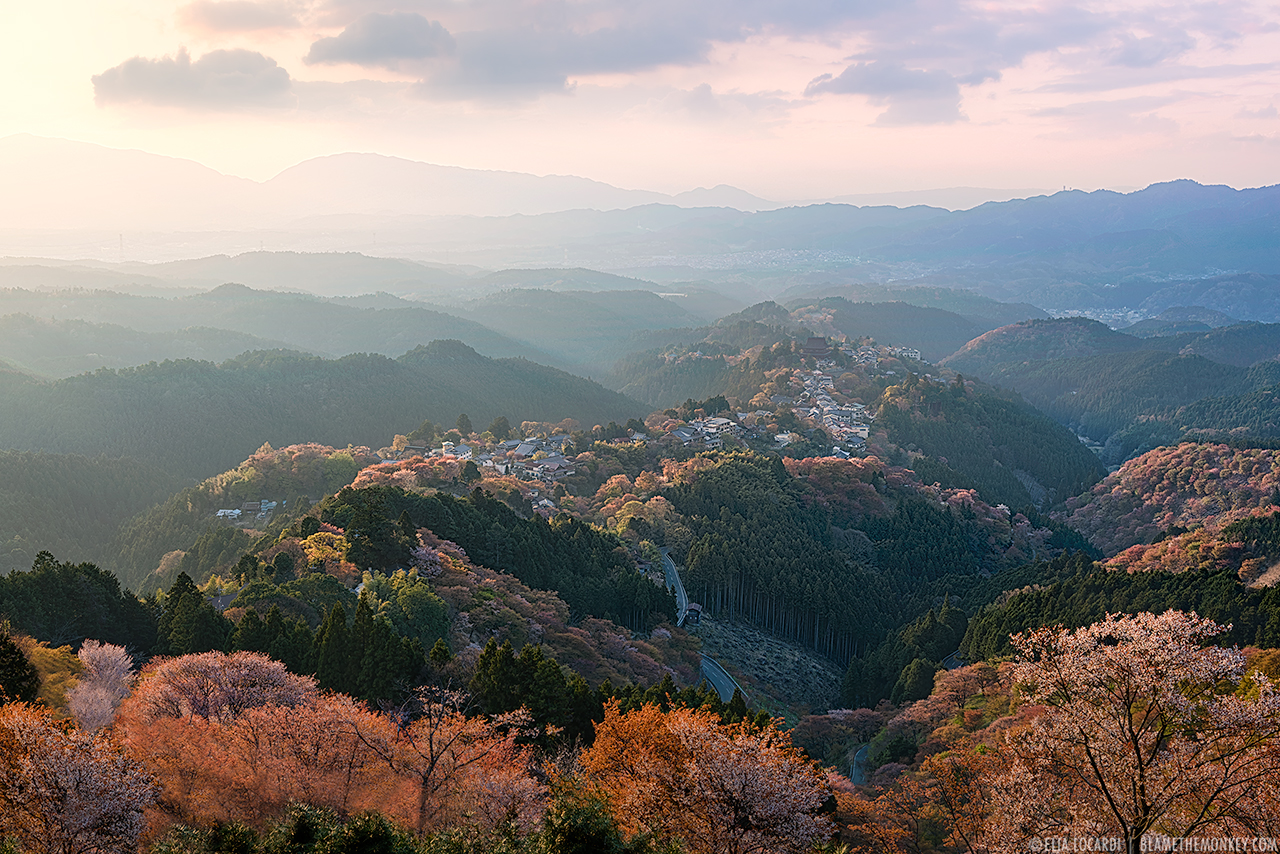 https://mdw-travel-data-us-east-1.s3.amazonaws.com/img/country/Japan/Yoshino-Mountain/img_01.jpg