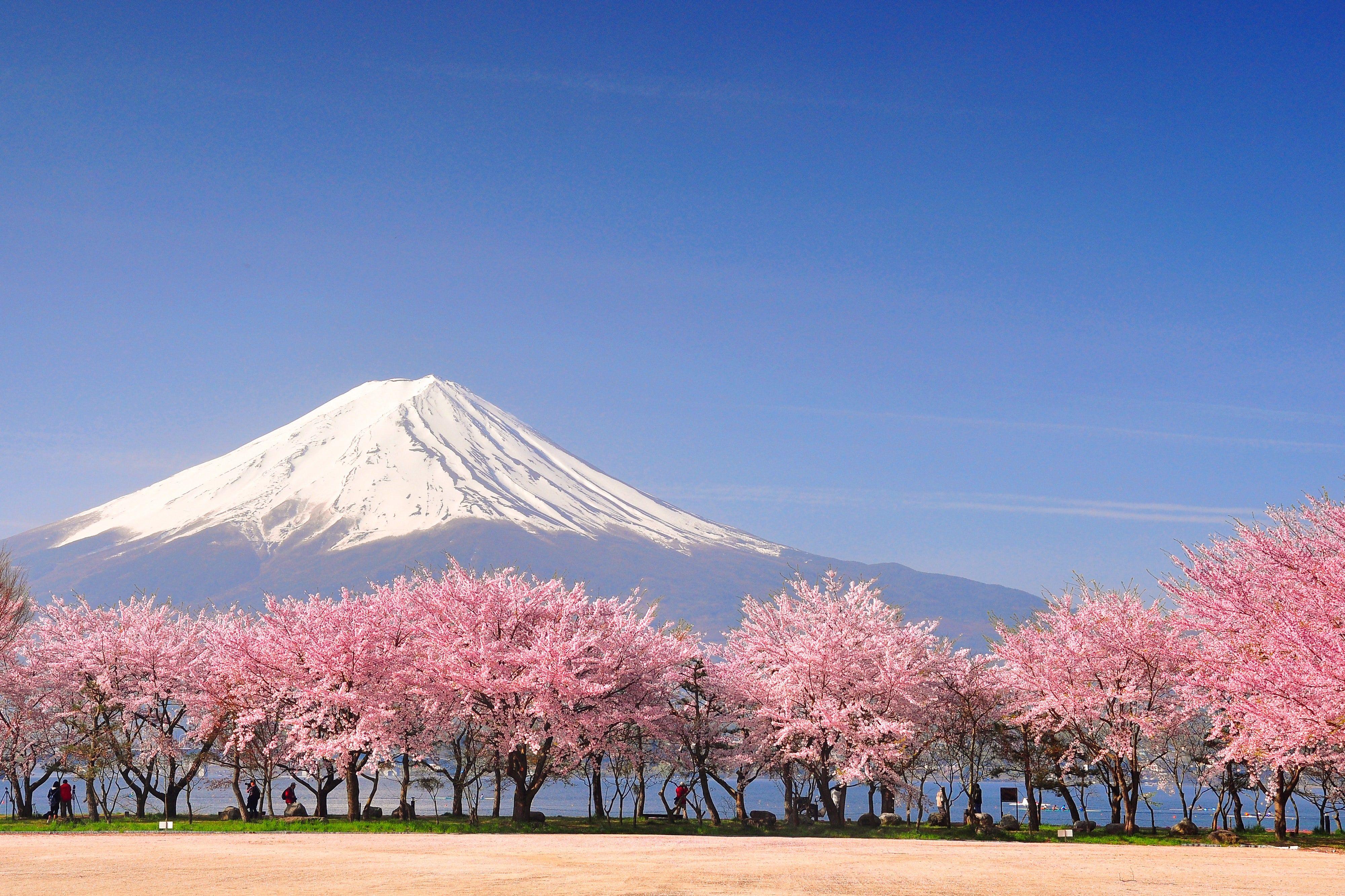 https://mdw-travel-data-us-east-1.s3.amazonaws.com/img/country/Japan/Yoshino-Mountain/img_03.jpg