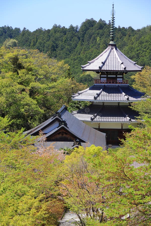 https://mdw-travel-data-us-east-1.s3.amazonaws.com/img/country/Japan/Yoshino/img_02.jpg