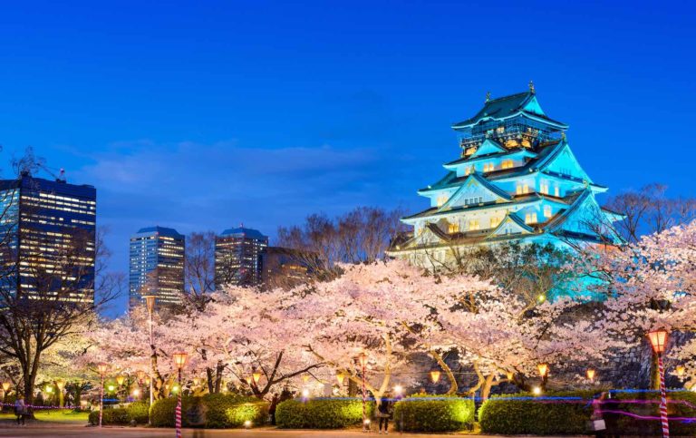 https://mdw-travel-data-us-east-1.s3.amazonaws.com/img/country/Japan/Yoshino/img_04.jpg