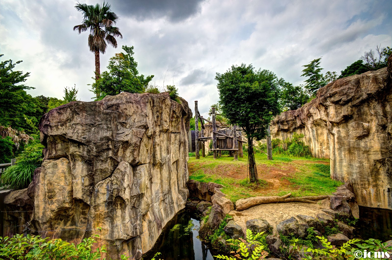 https://mdw-travel-data-us-east-1.s3.amazonaws.com/img/country/Japan/Zoorasia-Yokohama-Zoological-Gardens/img_01.jpg