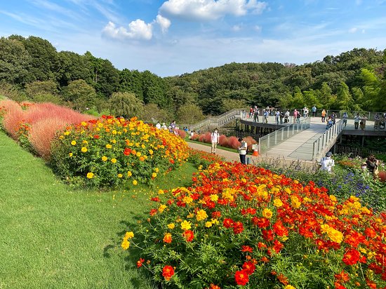 https://mdw-travel-data-us-east-1.s3.amazonaws.com/img/country/Japan/Zoorasia-Yokohama-Zoological-Gardens/img_02.jpg