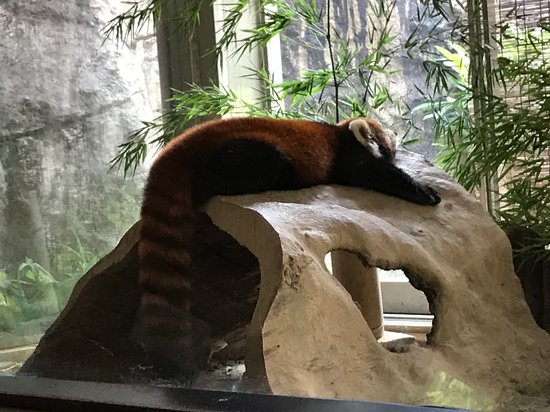 https://mdw-travel-data-us-east-1.s3.amazonaws.com/img/country/Japan/Zoorasia-Yokohama-Zoological-Gardens/img_03.jpg