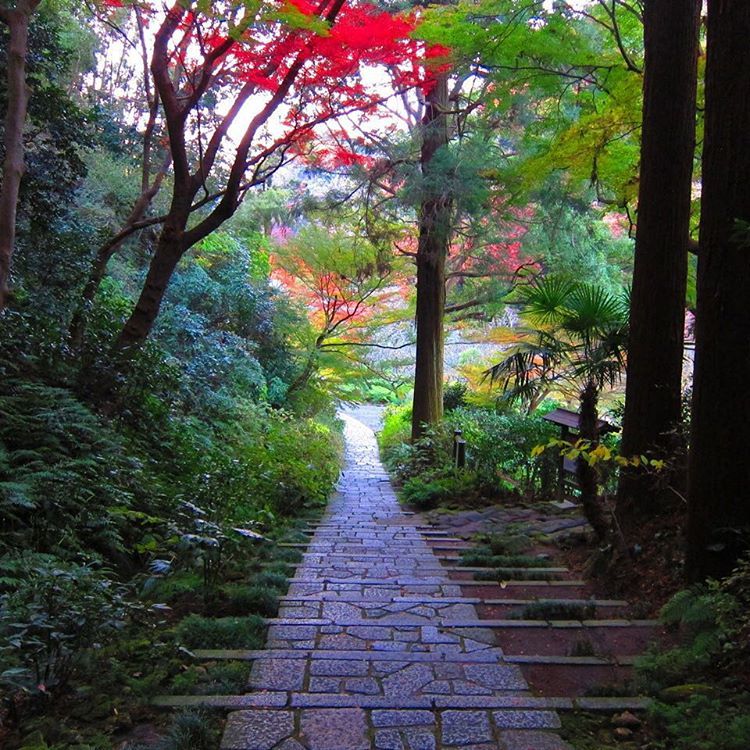 https://mdw-travel-data-us-east-1.s3.amazonaws.com/img/country/Japan/Zuisen-ji-Temple/img_03.jpg