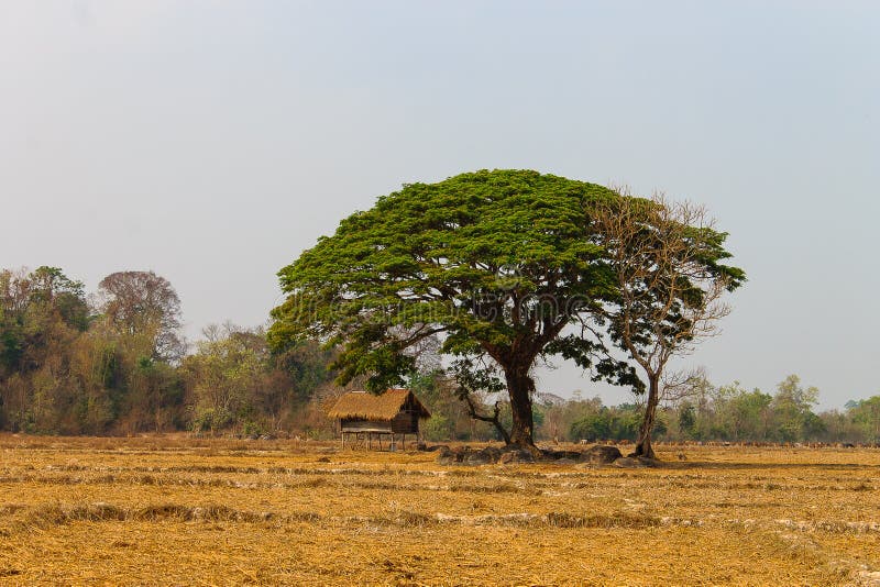 https://mdw-travel-data-us-east-1.s3.amazonaws.com/img/country/Laos/Ban-Kiat-Ngong/img_01.jpg