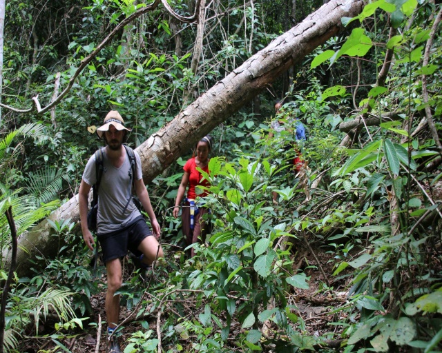 https://mdw-travel-data-us-east-1.s3.amazonaws.com/img/country/Laos/Ban-Nalan-Trail/img_01.jpg