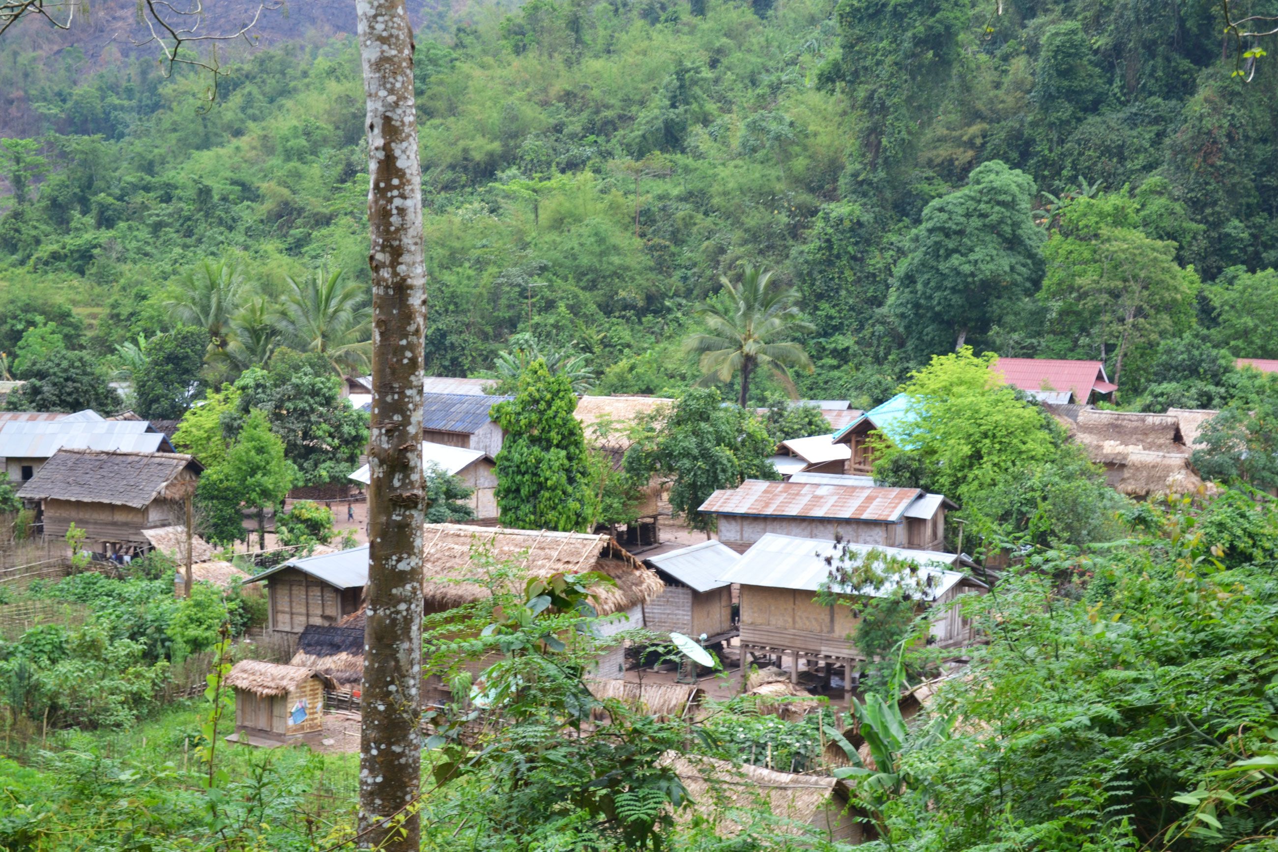 https://mdw-travel-data-us-east-1.s3.amazonaws.com/img/country/Laos/Ban-Nalan-Trail/img_04.jpg