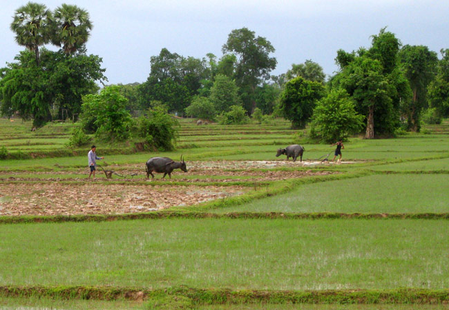 https://mdw-travel-data-us-east-1.s3.amazonaws.com/img/country/Laos/Ban-Nalan-Trail/img_05.jpg