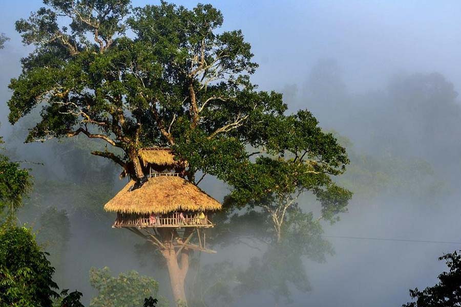 https://mdw-travel-data-us-east-1.s3.amazonaws.com/img/country/Laos/Bokeo-Nature-and-Ecocultural-Tours/img_02.jpg