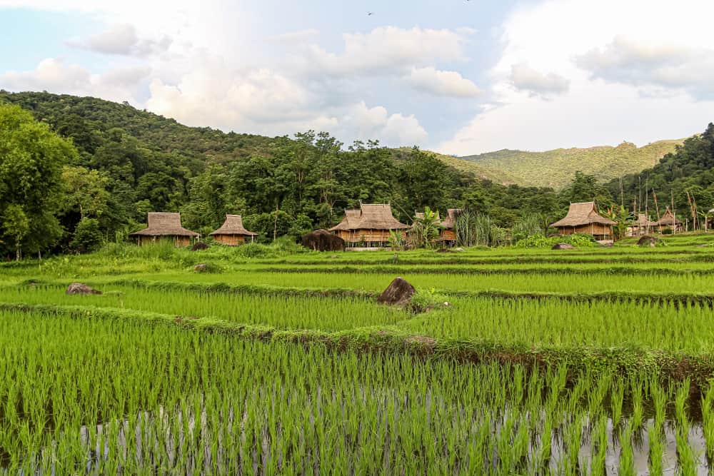 https://mdw-travel-data-us-east-1.s3.amazonaws.com/img/country/Laos/Chom-Ong-Cave/img_00.jpg