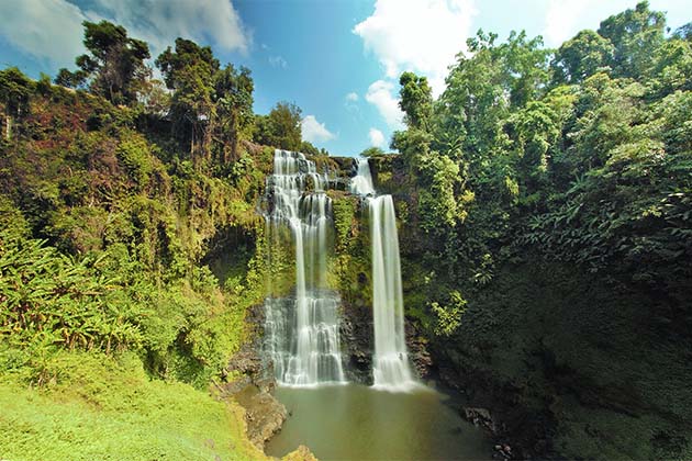 https://mdw-travel-data-us-east-1.s3.amazonaws.com/img/country/Laos/Dong-Phou-Vieng-National-Protected-Area/img_01.jpg