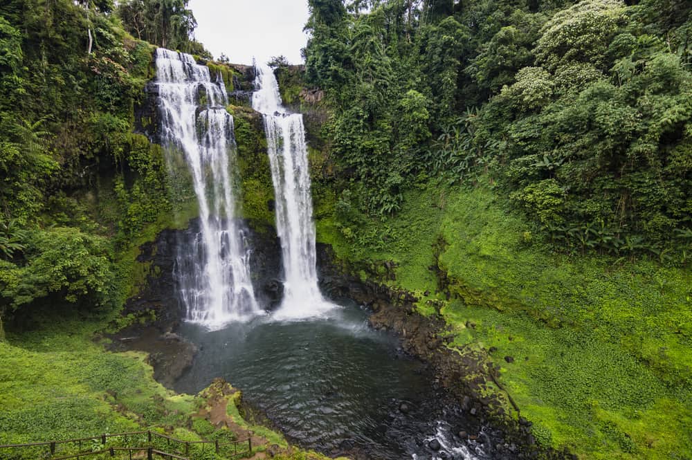 https://mdw-travel-data-us-east-1.s3.amazonaws.com/img/country/Laos/Dong-Phou-Vieng-National-Protected-Area/img_03.jpg