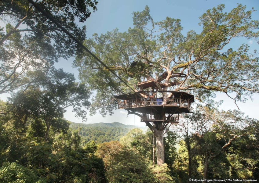 https://mdw-travel-data-us-east-1.s3.amazonaws.com/img/country/Laos/Gibbon-Experience/img_00.jpg