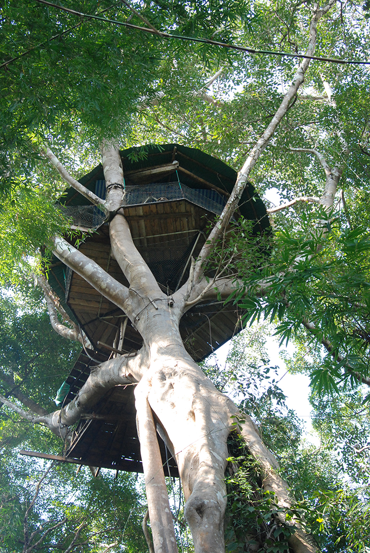 https://mdw-travel-data-us-east-1.s3.amazonaws.com/img/country/Laos/Gibbon-Experience/img_02.jpg