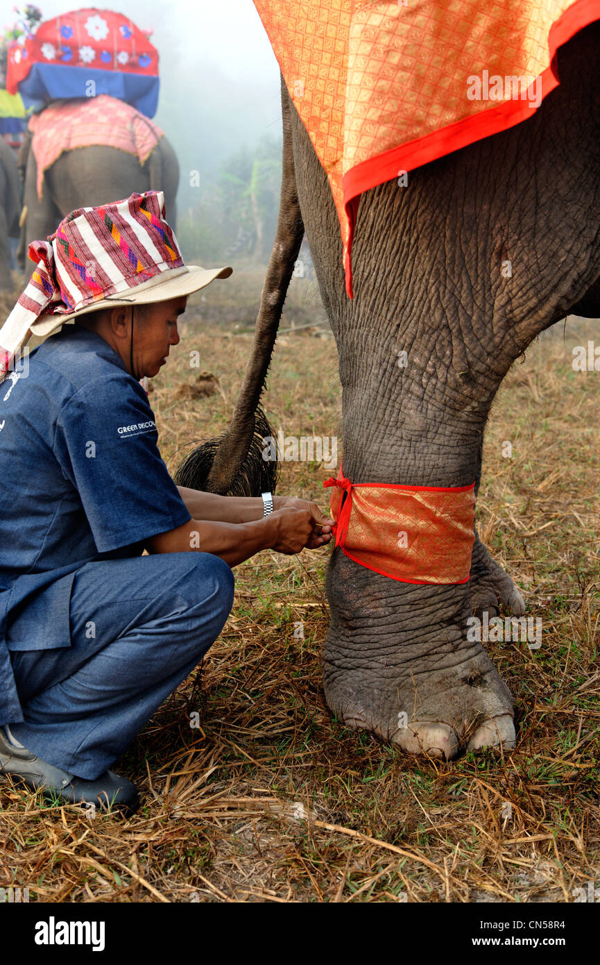 https://mdw-travel-data-us-east-1.s3.amazonaws.com/img/country/Laos/Hongsa-Elephant-Festival/img_01.jpg