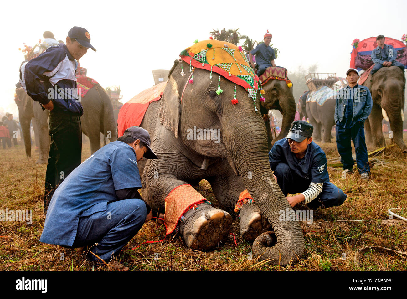 https://mdw-travel-data-us-east-1.s3.amazonaws.com/img/country/Laos/Hongsa-Elephant-Festival/img_05.jpg
